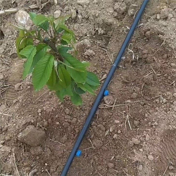 agriculture-drip-pipe-with-emitters