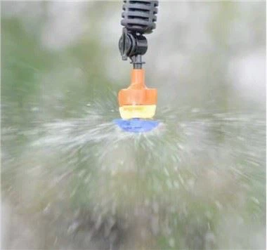 השקיה ממטרה מיקרו סילון