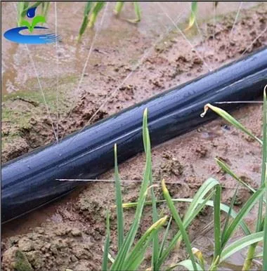 צינור ממטרה עם חורים