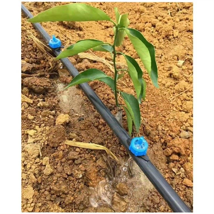 כפתור פולט השקיה אוטומטית מערכת השקיה בטפטוף